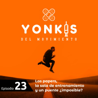 23. Los papers, la sala de entrenamiento y un puente ¿imposible?