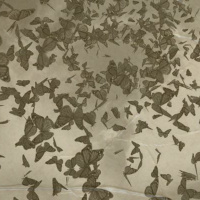 Episode 215: Write It Down