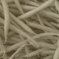 Episode 205: Sizzlin Beans