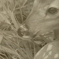 Episode 204: Whatever It Takes