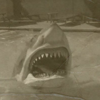 Episode 214: Thats Never Happened Before