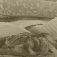 Episode 217: Illegal Sammy