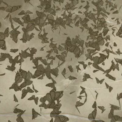 Those Damn Ross Kids