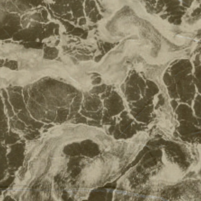 Those Damn Ross Kids