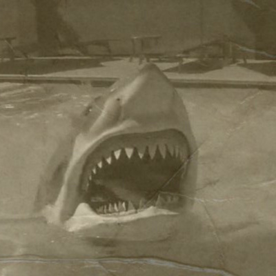 Those Damn Ross Kids