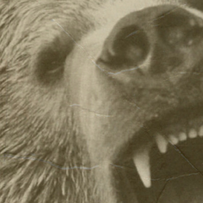 Those Damn Ross Kids