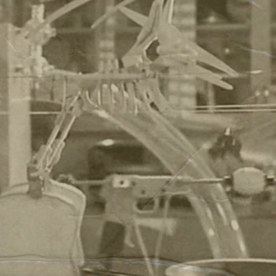 Those Damn Ross Kids