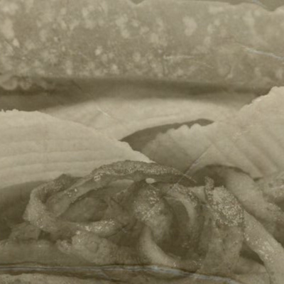 Those Damn Ross Kids