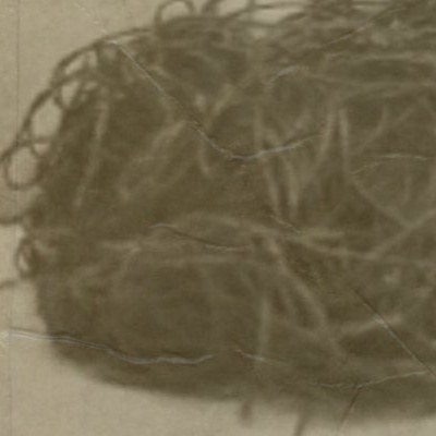 Those Damn Ross Kids