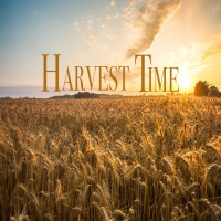 Its Harvest Time