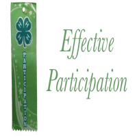 Effective Participation