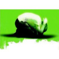 Pastor Edwin Santana - Sermón - Es Necesario Que Yo Mengüe Para Que Cristo Crezca En Nosotros.