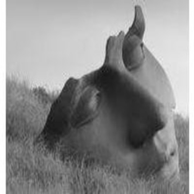 Iglesia Arca De Salvación Puerto Plata