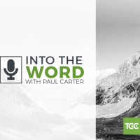 August Special Update