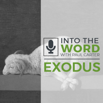 Into The Word With Paul Carter