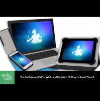 073: Daniel DeBaun on How to Avoid EMFs, WiFi, amp Radiation