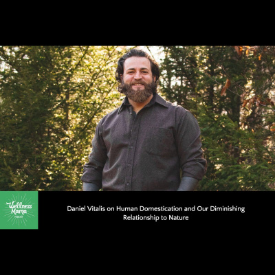 The Wellness Mama Podcast