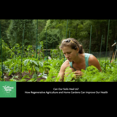 The Wellness Mama Podcast