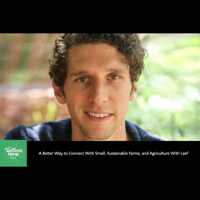 The Wellness Mama Podcast