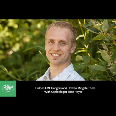 The Wellness Mama Podcast