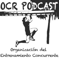 16. Organización del Entrenamiento Concurrente