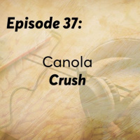 Episode 37: Canola Crush