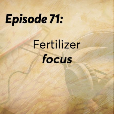 Cns Grain Insight Podcast