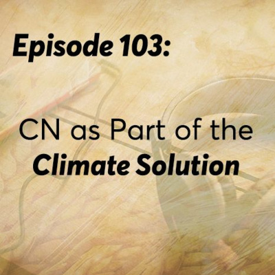 Cns Grain Insight Podcast