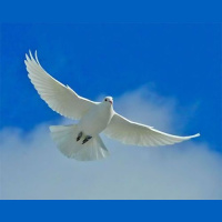 The Compassionate and Gracious God