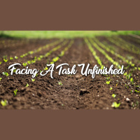 Facing A Task Unfinished