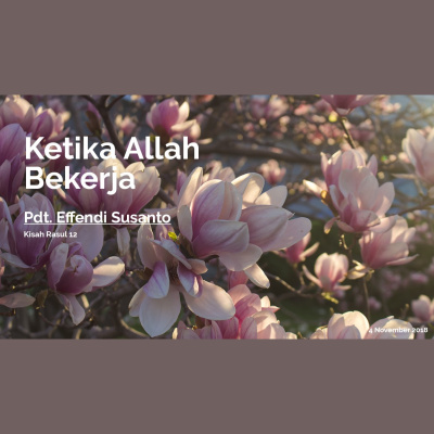 Reci Sydneys Podcast