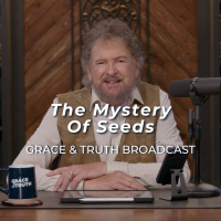 The Mystery Of Seeds | Episode 3 | The Seed