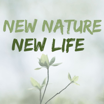 Duane Sheriff Ministries - Feed