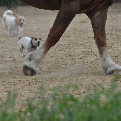 Rozmawiam, Bo Lubi. Weronika Wawrzkowicz