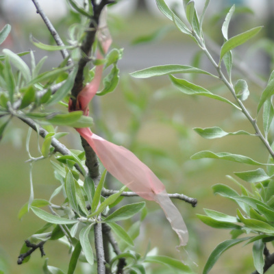 Rozmawiam, Bo Lubi. Weronika Wawrzkowicz