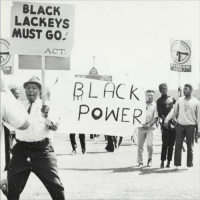 [Anti-Essentialism Series] Ep 2 - The Panthers Cant Save Us Now w/ Cedric Johnson