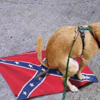 Ep. 2 - The Yankee (neo)Confederate w/ Alex Nichols