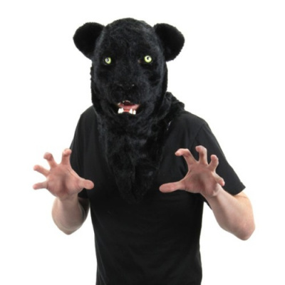 Dead Pundits Society