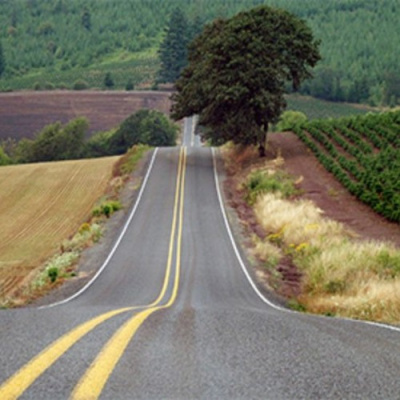 Dead Pundits Society