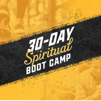 Daddy Files W Kd The Comic