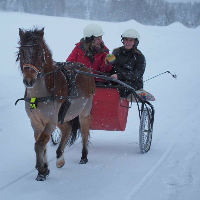 Söndagarna Med Stina Wollter