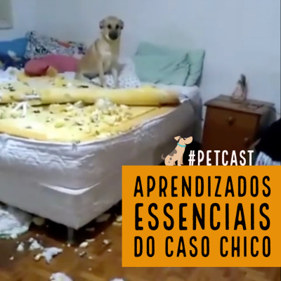 Petcast - Tudo Sobre Educação Canina
