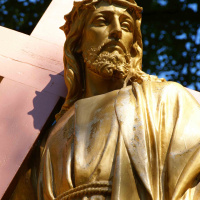 messaggio 13 gennaio 2017