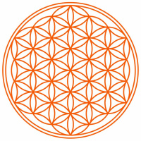 Comment avoir des pensées positives ? Capsule 6/10