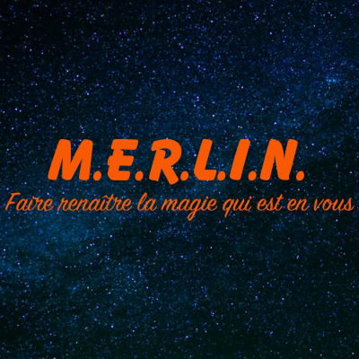 Coaching M.e.r.l.i.n. Par Julien Giraud