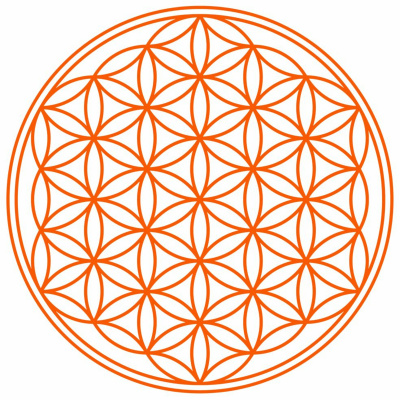 Coaching M.e.r.l.i.n. Par Julien Giraud