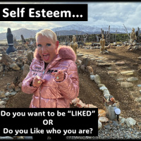 Self-Esteem. Do you need to be “Liked”