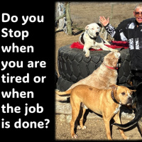 Why do people quit before they achieve