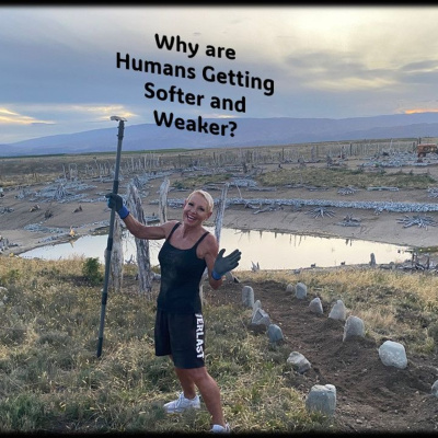 Max Health And Fitness Recordings