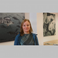 Polarfararna del 2 Om plast